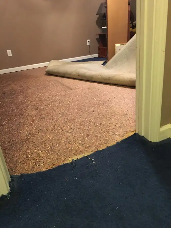 Carpet pad removal revealing water damage during Water Mitigation Services in Southington