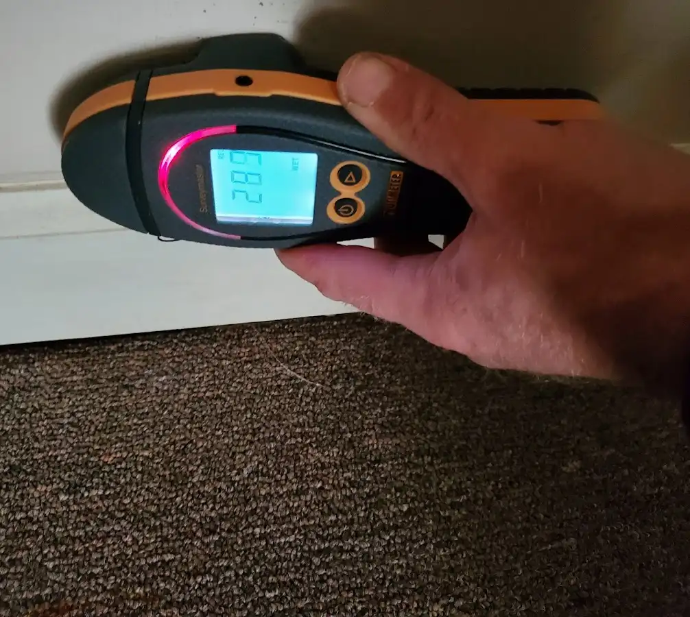 Moisture detection at baseboard during Sewage Cleanup & Sanitation in Southington